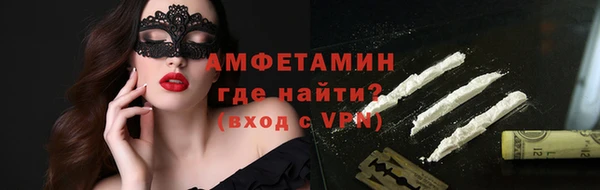 шишки Чегем
