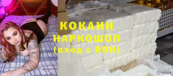 шишки Чегем