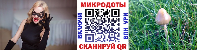 Галлюциногенные грибы Cubensis  Купить  Нижняя Тура 